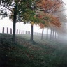 Fog Oct 2007